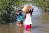 Flutopfer müssen mühsam durch das Hochwasser waten (csi)