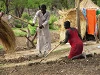 Die Bewirtschaftung eines Ackerfeldes im Südsudan bedeutet beinharte Arbeit (csi)