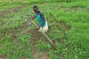 Für den Anbau von Sorghum erhalten die Menschen im Südsudan von CSI auch das nötige Werkzeug (csi)