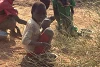 Wilde Blätter sind derzeit oft die einzige Möglichkeit für die hungernden Menschen im Südsudan, sich zu ernähren. Sie benötigen dringend Hilfe (csi)