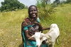 Die Freude steht ihr ins Gesicht geschrieben. Adut Mathok Aguer kann es kaum glauben, dass sie frei ist und dank der Milchziege eine Zukunft geschenkt bekommen hat (csi)