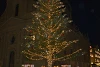 Ein riesiger Weihnachtsbaum prägte die wunderschöne Kulisse an der Mahnwache in Bern (csi)
