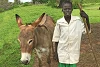 Diing Lual Kiir mit seinem Esel, der ihn vom Sudan in den Südsudan brachte (csi)