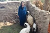 Dank ihrer Schafzucht geht es Mariams Familie heute besser. Die Arbeit steigert auch ihr Selbstwertgefühl. csi