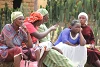 Opfer eines Fulani-Angriffs auf das Dorf Kwi im Bundesstaat Plateau. csi